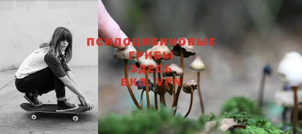 spice Балабаново