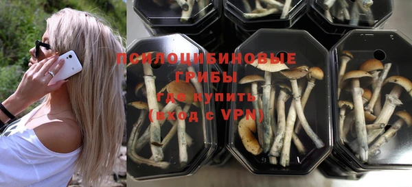 не бодяженный Арсеньев