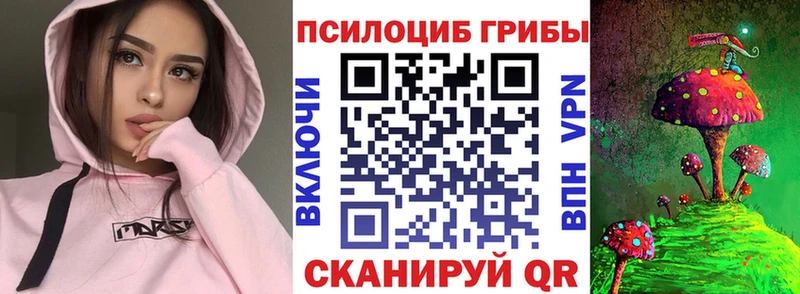 kraken зеркало  Вилючинск  Псилоцибиновые грибы прущие грибы 